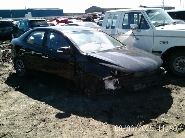 2010 KIA