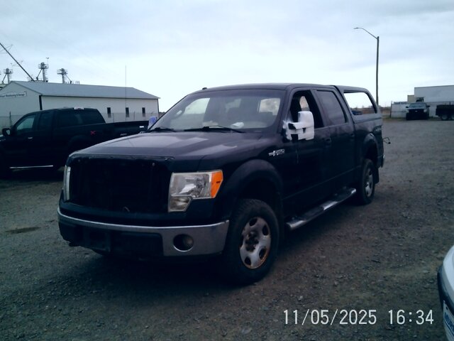 2009 Ford