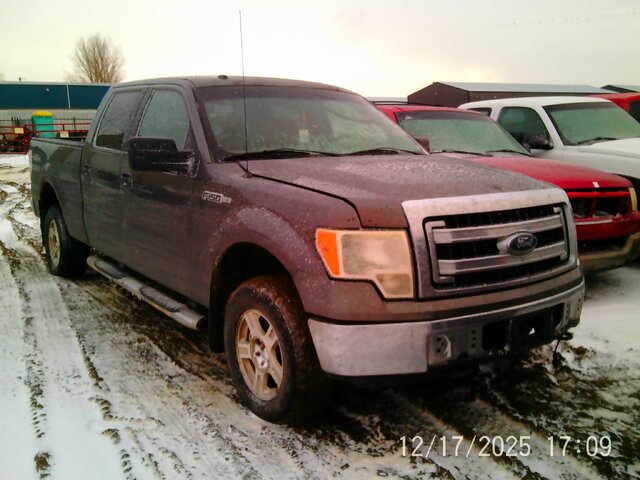 2009 Ford
